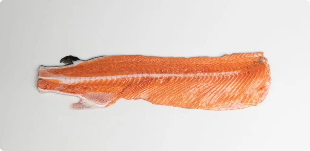 Salmon Backbones