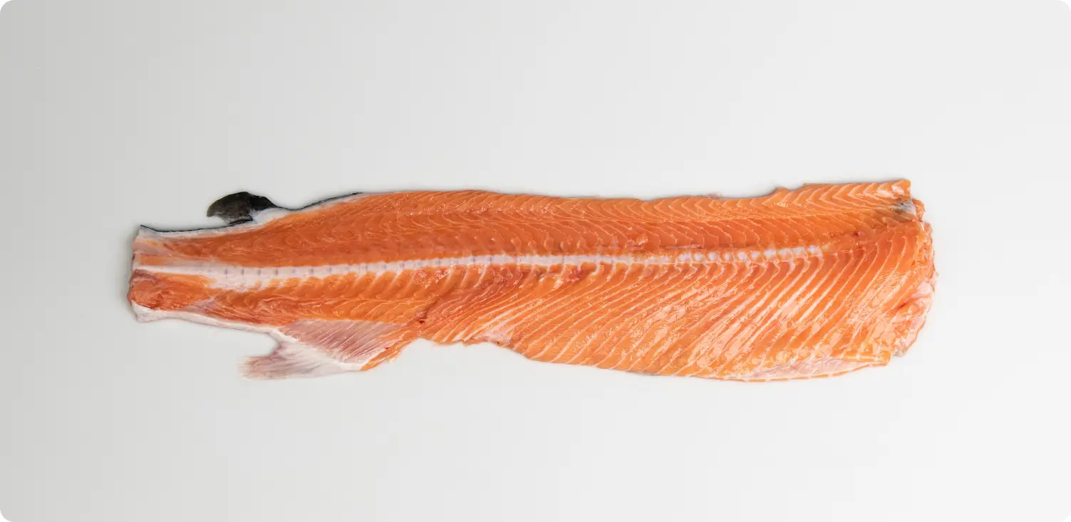 Salmon Backbones